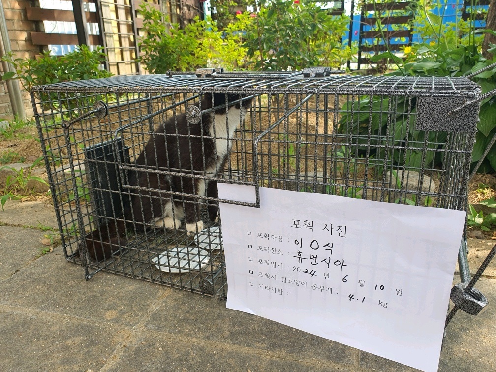 보호중동물사진 공고번호-충북-진천-2024-00197