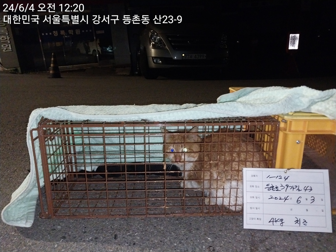 보호중동물사진 공고번호-서울-강서-2024-00220
