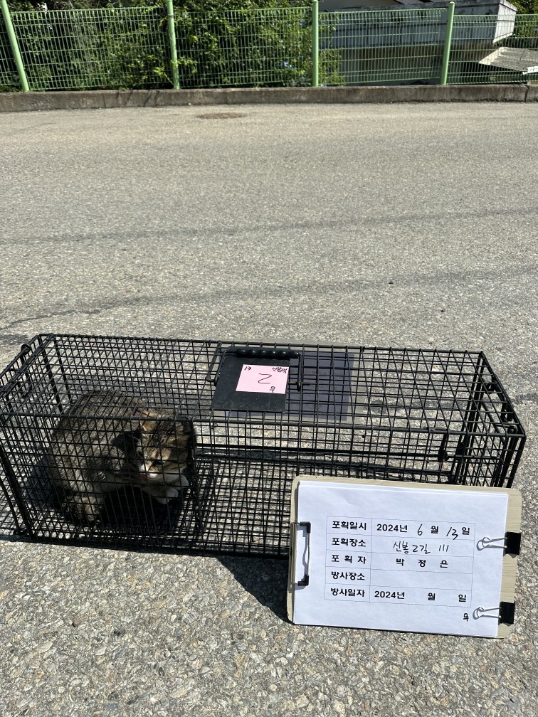 보호중동물사진 공고번호-경북-상주-2024-00665
